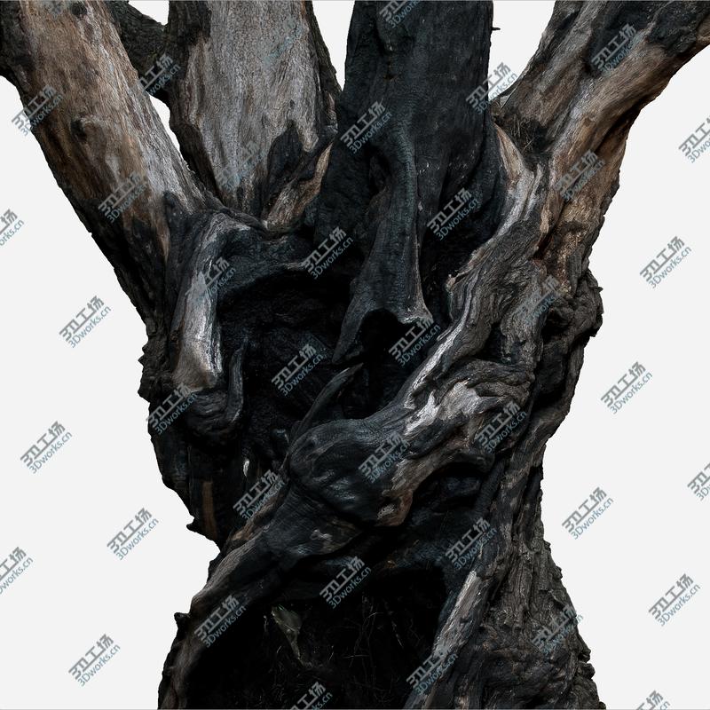images/goods_img/202105073/Tree charred trunk willow/2.jpg
